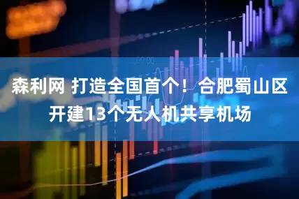 森利网 打造全国首个！合肥蜀山区开建13个无人机共享机场