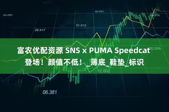 富农优配资源 SNS x PUMA Speedcat 登场！颜值不低！_薄底_鞋垫_标识