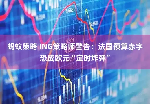 蚂蚁策略 ING策略师警告：法国预算赤字恐成欧元“定时炸弹”