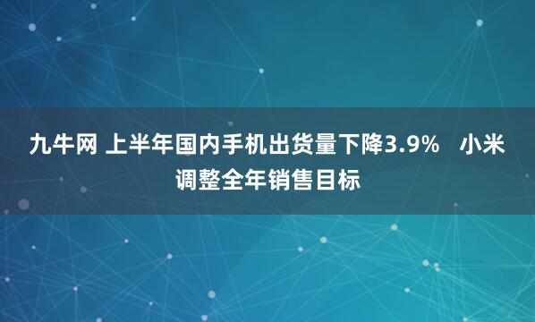 九牛网 上半年国内手机出货量下降3.9%   小米调整全年销售目标