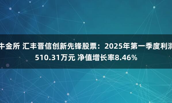 牛金所 汇丰晋信创新先锋股票：2025年第一季度利润510.31万元 净值增长率8.46%