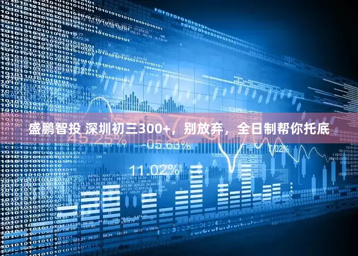 盛鹏智投 深圳初三300+，别放弃，全日制帮你托底