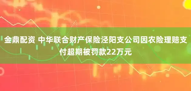 金鼎配资 中华联合财产保险泾阳支公司因农险理赔支付超期被罚款22万元