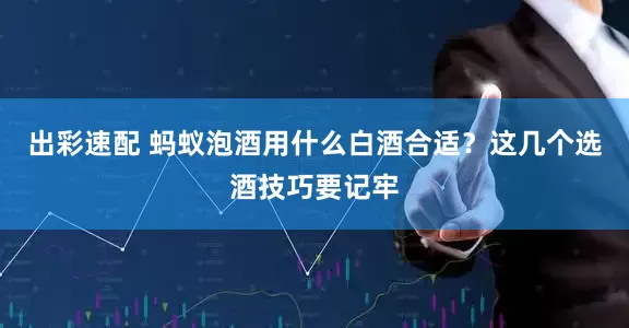 出彩速配 蚂蚁泡酒用什么白酒合适？这几个选酒技巧要记牢