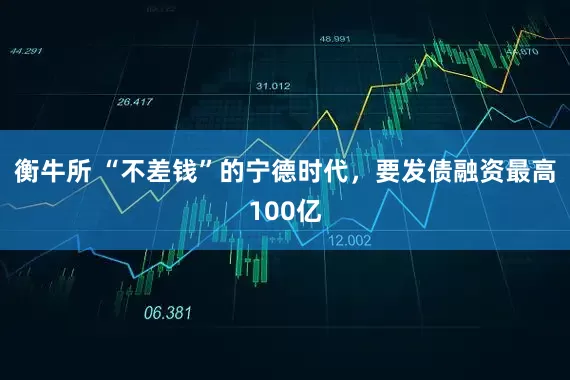 衡牛所 “不差钱”的宁德时代，要发债融资最高100亿