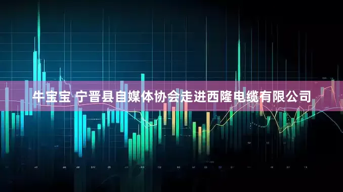 牛宝宝 宁晋县自媒体协会走进西隆电缆有限公司