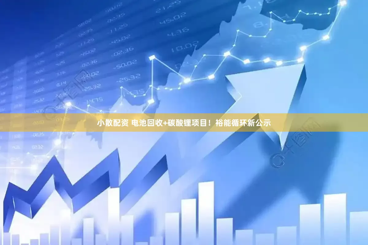 小散配资 电池回收+碳酸锂项目！裕能循环新公示